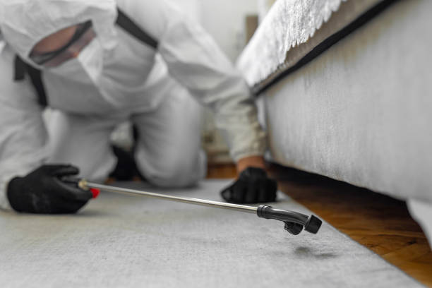 Professional Bed Bug Control technician working in Woodside East, DE