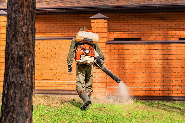 Trusted Mosquito Control service in Woodside East, DE - Nex Pest Control